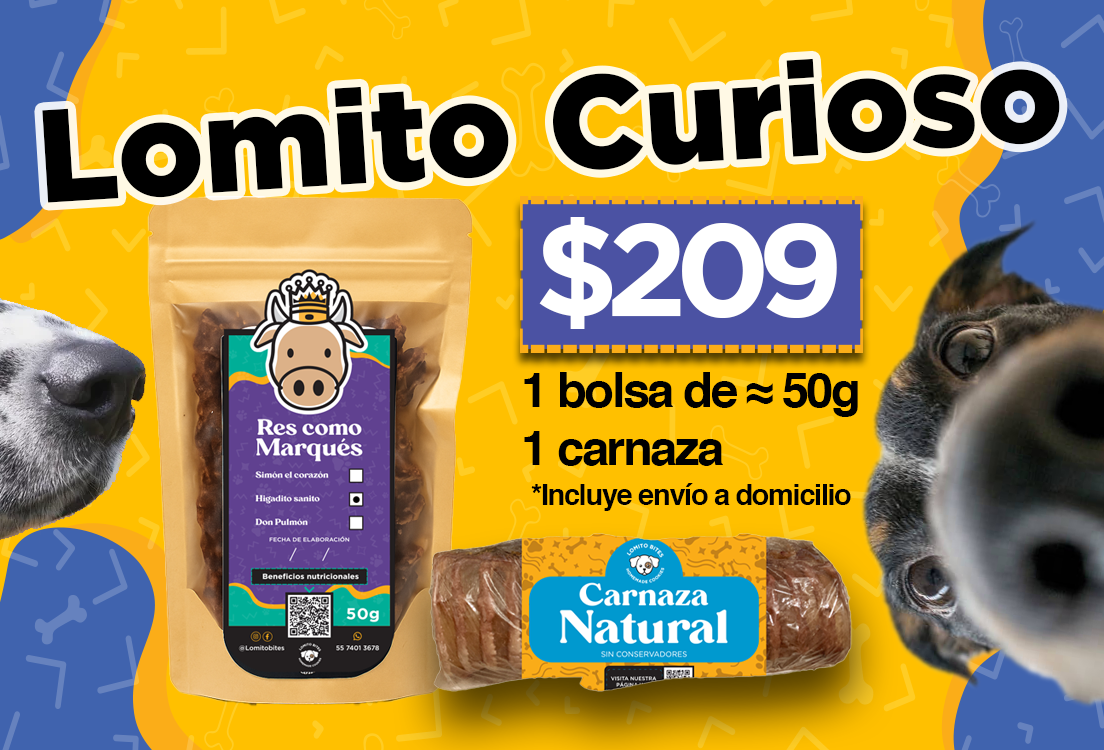 Lomito Curioso - premios saludables + carnaza natural